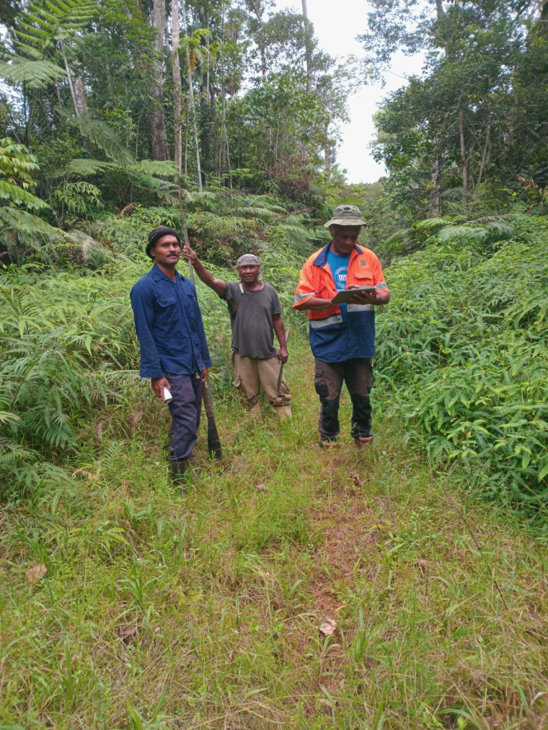 Harvest Planning in Coupe 810